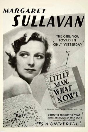 Little Man, What Now? poster