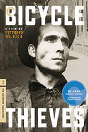 Bicycle Thieves poster