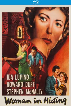 Woman in Hiding poster