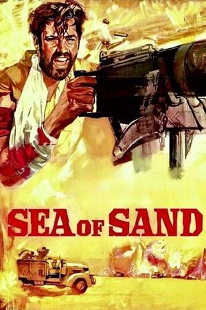 Desert Patrol poster