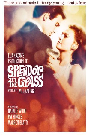 Splendor in the Grass poster