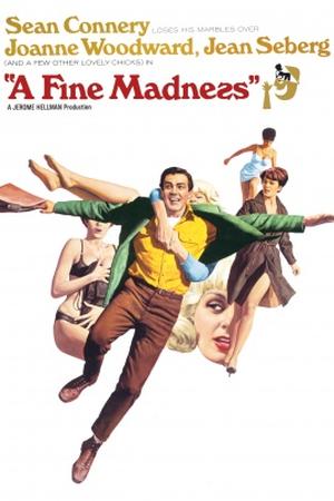 A Fine Madness poster