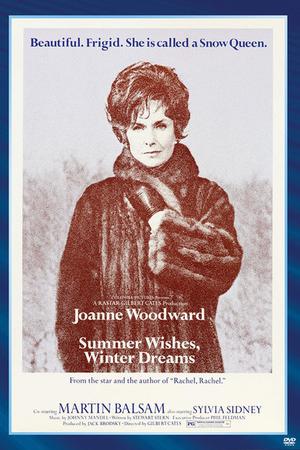 Summer Wishes, Winter Dreams poster