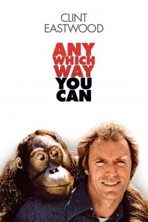 Any Which Way You Can poster
