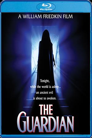 The Guardian poster