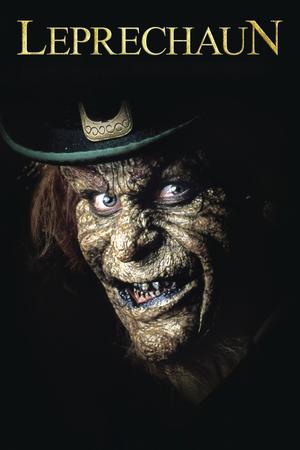 Leprechaun poster