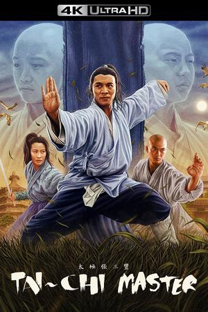 Tai Chi Master poster