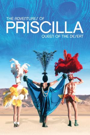 Las aventuras de Priscilla, reina del desierto poster