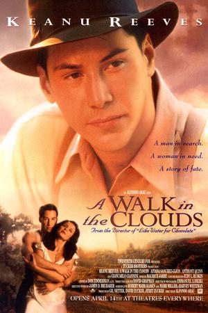 A Walk in the Clouds poster
