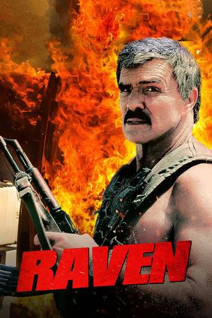 Raven poster