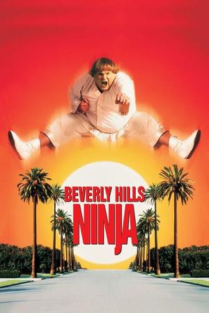 Beverly Hills Ninja poster