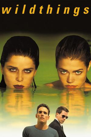 Wild Things poster