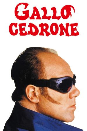 Gallo cedrone poster