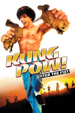 Kung Pow: Enter the Fist poster