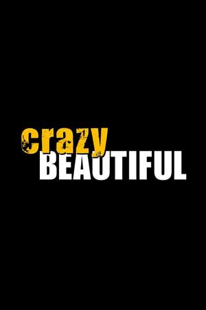 Crazy/Beautiful poster
