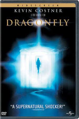 Dragonfly poster