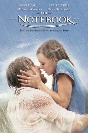 The Notebook poster