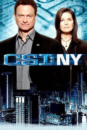 CSI: NY poster