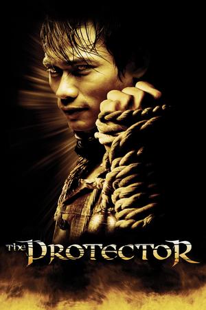The Protector poster
