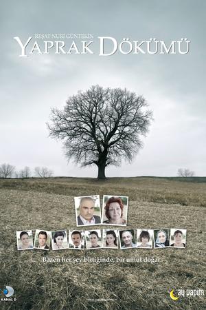 Yaprak Dökümü poster