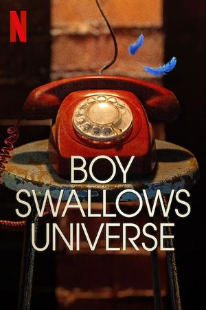 Boy Swallows Universe poster