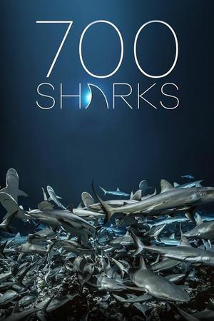 700 requins dans la nuit poster