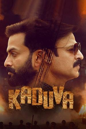 Kaduva poster