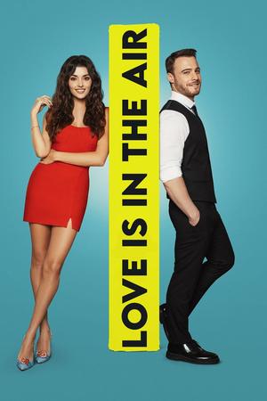 Love Is in the Air poster