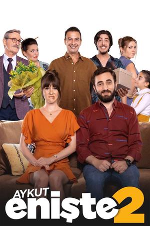 Brother in Love 2 poster