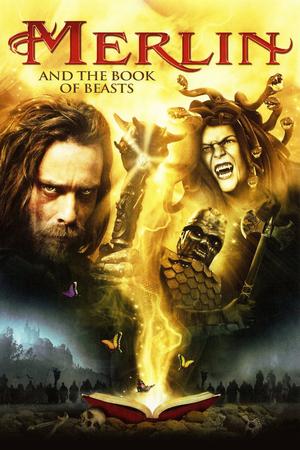 Merlin and the Book of Beasts poster