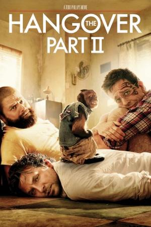 The Hangover Part II poster