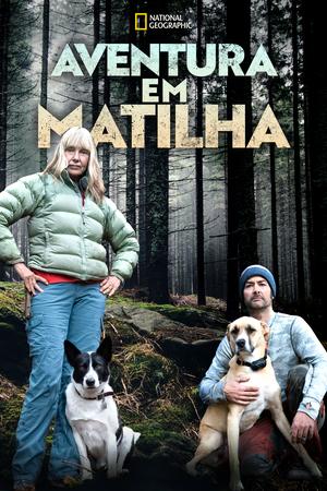Called to the Wild poster