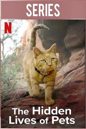 The Hidden Lives of Pets poster