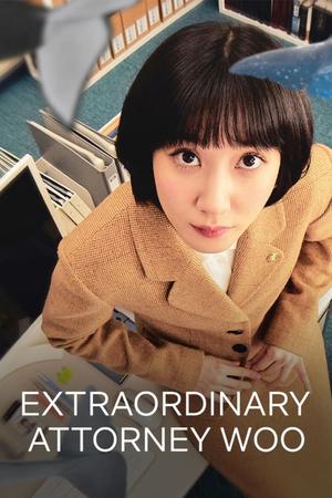 Extraordinary Attorney Woo poster