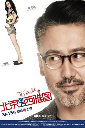 Finding Mr. Right poster