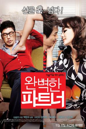 Perfect Partner poster