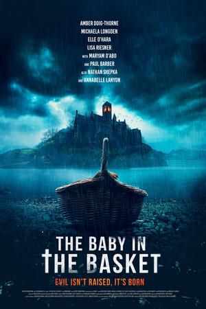 The Baby in the Basket poster