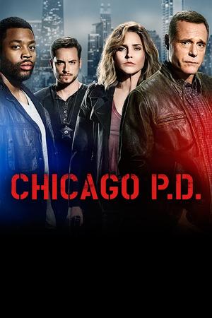 Chicago P.D. poster