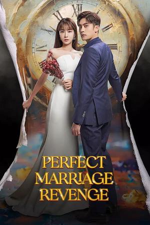 Perfect Marriage Revenge poster