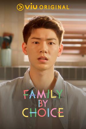 Family by Choice poster