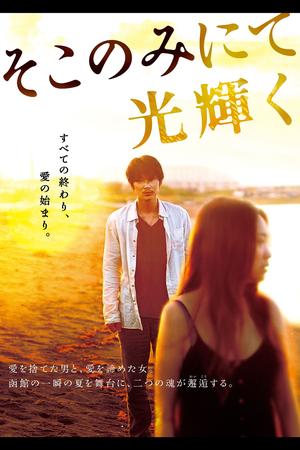 The Light Shines Only There poster