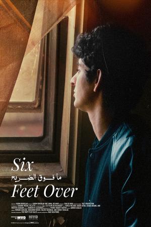 Six pieds sur Terre poster