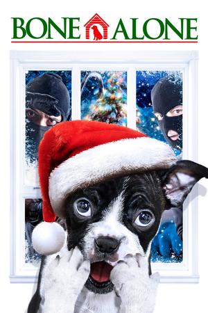 Alone for Christmas poster