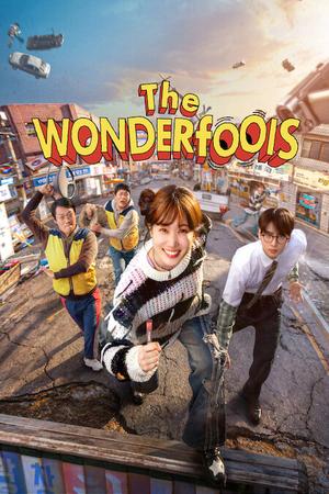 The WONDERfools poster