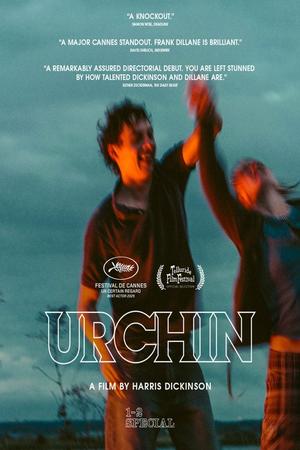 Urchin poster