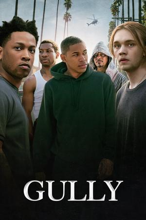 Gully poster
