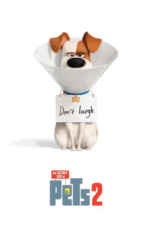 The Secret Life of Pets 2 poster