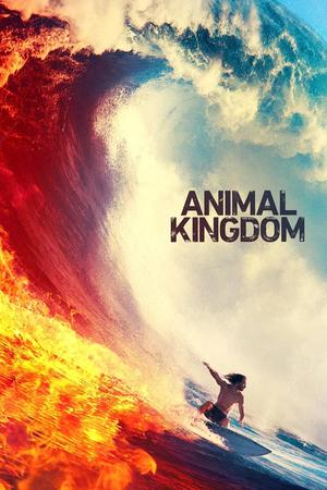 Animal Kingdom poster