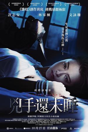 Nessun Dorma poster