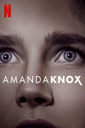 Amanda Knox poster